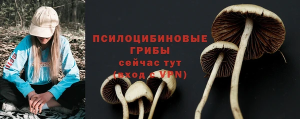 МДПВ Зеленокумск
