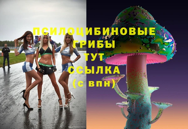 МДПВ Зеленокумск