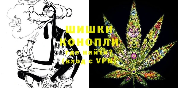 стафф Тавда