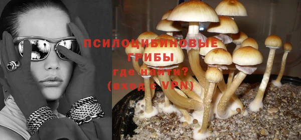 МДПВ Зеленокумск