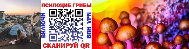 Купить где  Салехард  Галлюциногенные грибы MAGIC MUSHROOMS 